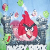 Angry Birds